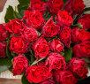 25 красных роз Эль Торро