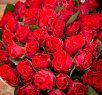51 красная роза Эль Торро