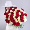51 роза красно-белый микс (Эквадор)