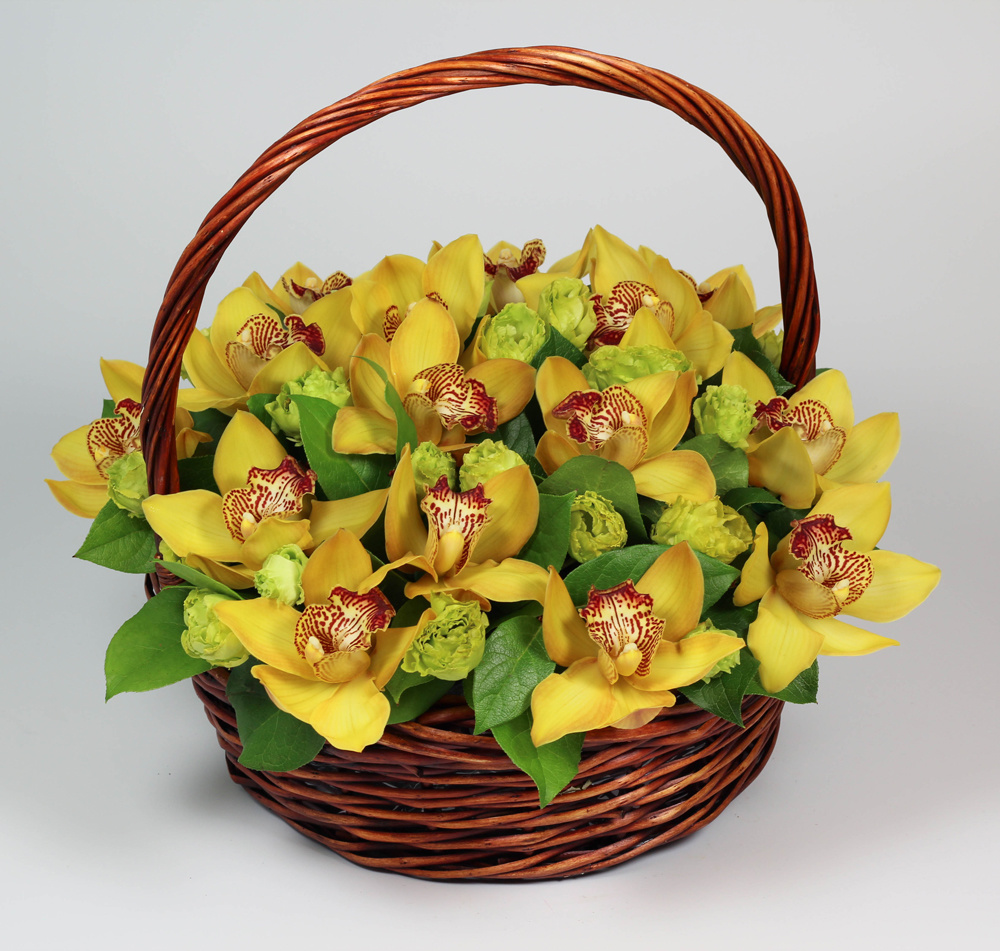 Корзина с желтыми орхидеями