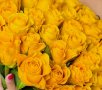 51 желтая роза (Эквадор)