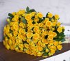 25 кустовых желтых роз