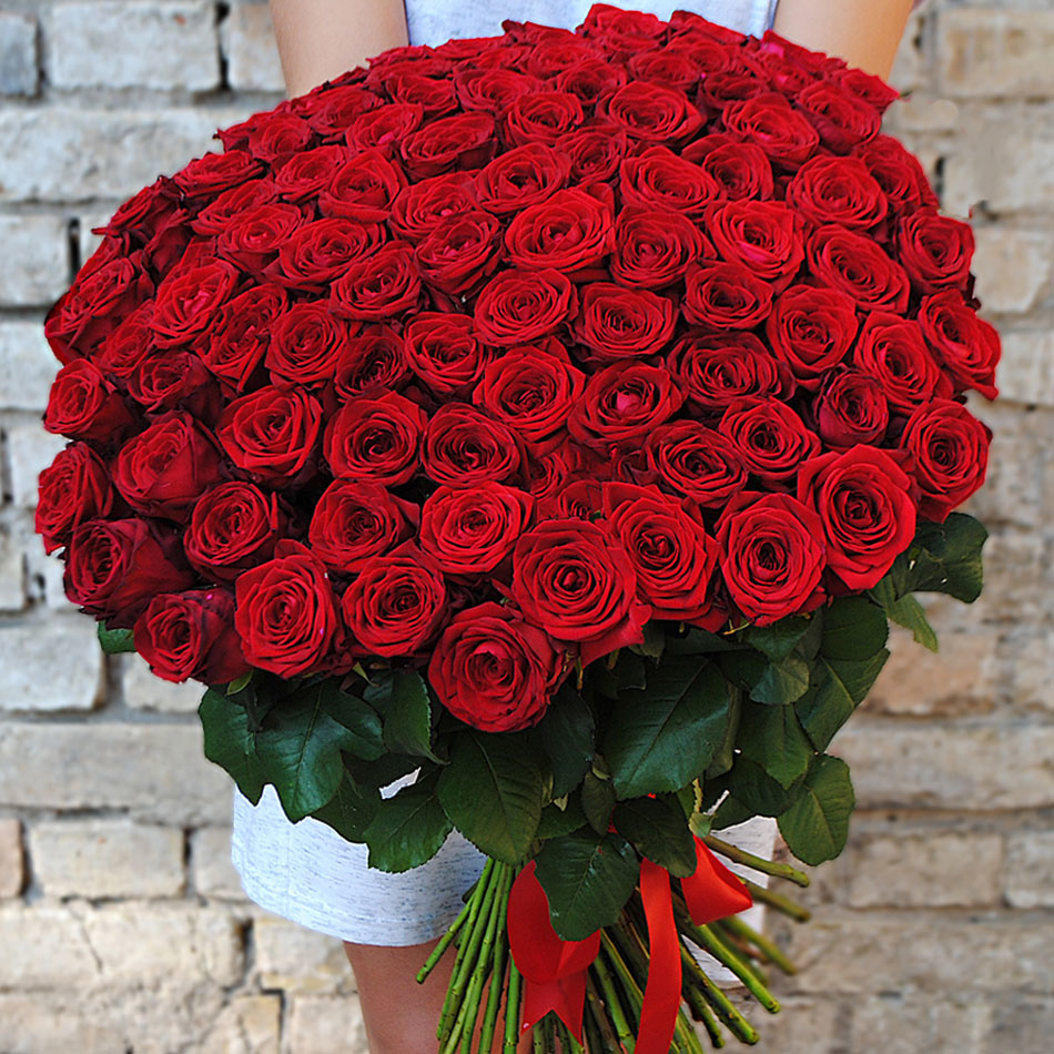 101 красная роза (Россия)