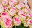 25 Элитных роз Esperance (Эквадор)