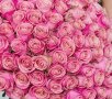 101 Элитная роза Hermosa (Эквадор)