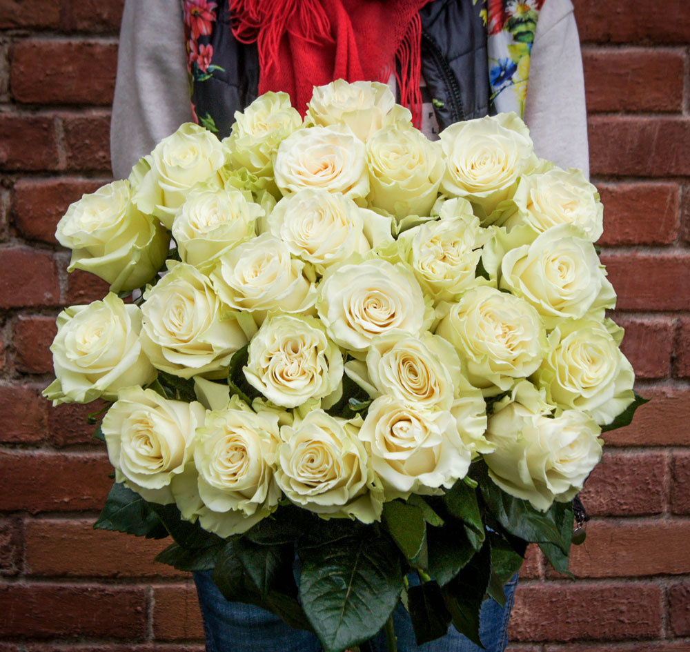 25 белых роз (Эквадор) 40 см