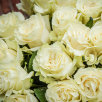 25 белых роз (Эквадор) 40 см